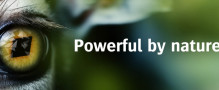 Agfa prepares to ‘unleash the beasts’ at FESPA Global Print Expo 2025 with two new inkjet powerhouses